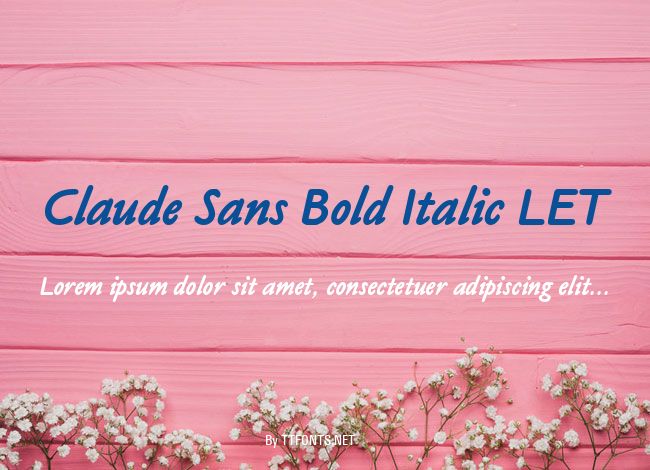Claude Sans Bold Italic LET example